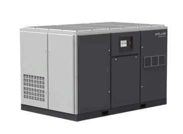Компрессор ERSTEVAK AURORA DS 300 10