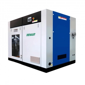 Компрессор DENAIR DWW-200W 10 бар